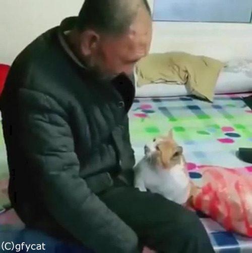 ǭ�Ȥ���������󡢤ȤäƤ����ɤ�01