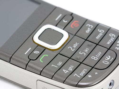 違法の森林伐採01