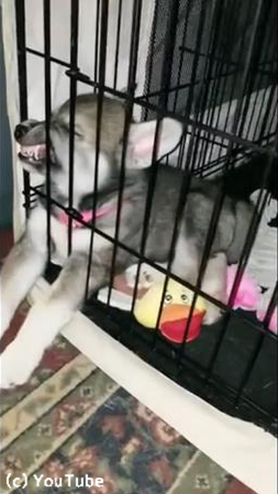 �ҥϥ������ο��餬�֤��㤫�襤��01