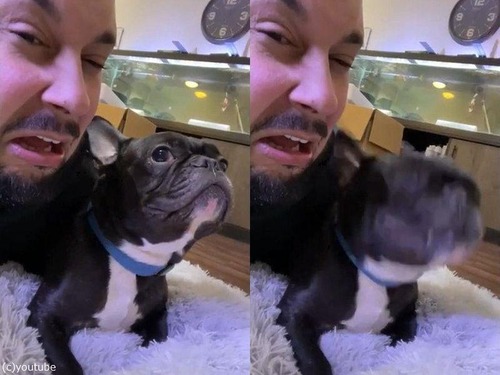 ������Ρ֤�����ߡפ򿿻����븤01