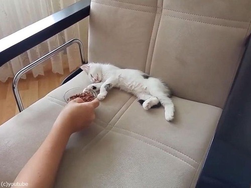 ��ǭ���ܤ����Τ��Ϥ���ܤ�Фޤ�01