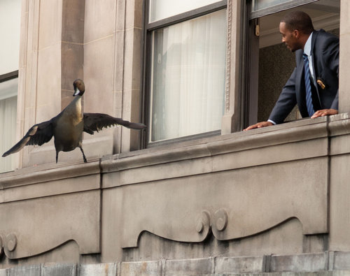 �ʹ������ޥ���10