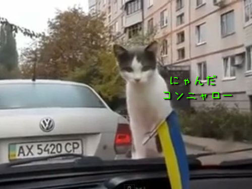 ǭ�ȥ磻�ѡ����з�00