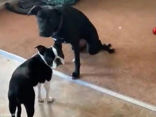 ­�����餫����03