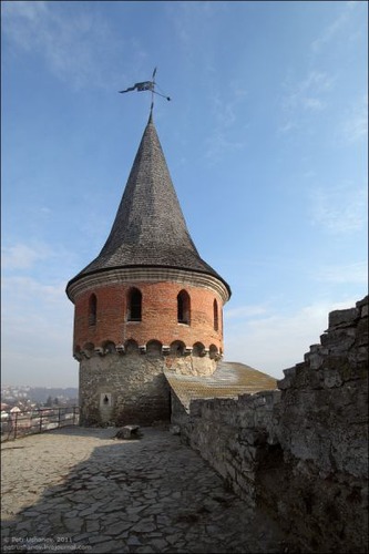 �����饤�ʤξ�05