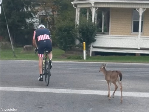 ҼˤʤĤƺǡ֤äȸɤ³ɡġ