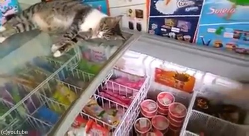 ������ǭ02