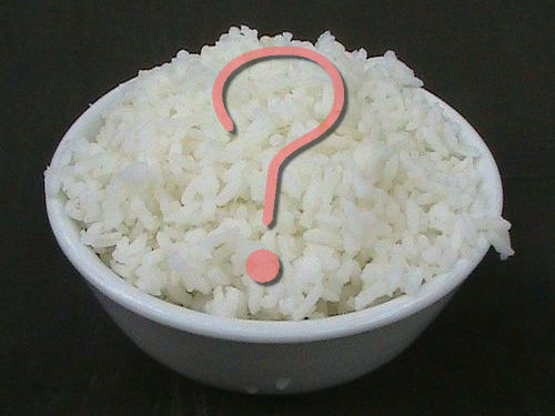 欧米人が炊飯器00