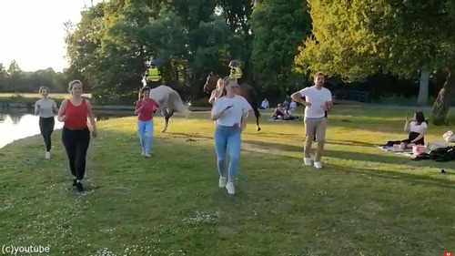 ���륵�������˻��ä��롢���������Ϥ˾�ä��ٴ�04