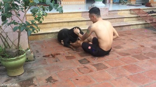 �����θ��ϡĶڥȥ�Τ��������򤷤Ƥ����04