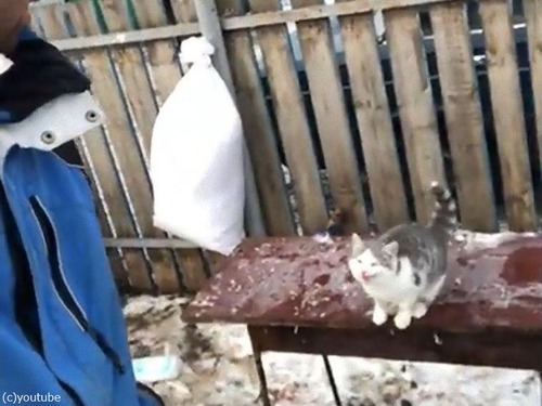�����礵��θ���ķ�Ӿ�����Ȥ���ǭ01