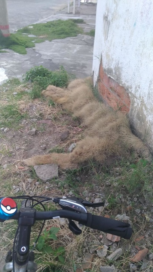 ǭ�˸����벿��07