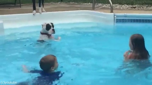 子どもたちから水遊びを教わるワンちゃん02