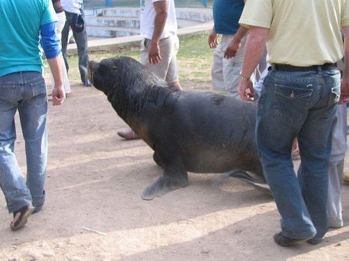 ルハン動物園07