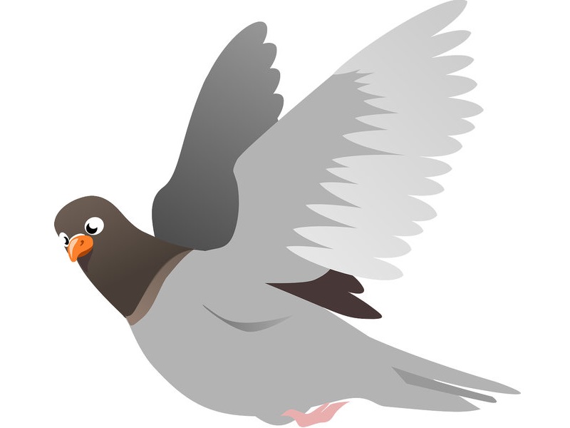 ロシア女性 頭にハトがとまってきたので 自撮りをしてみた 動画 らばq