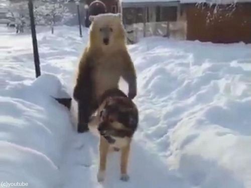 ���ޡ֤��������ޤ����������� �����Τä����ä���͡���06