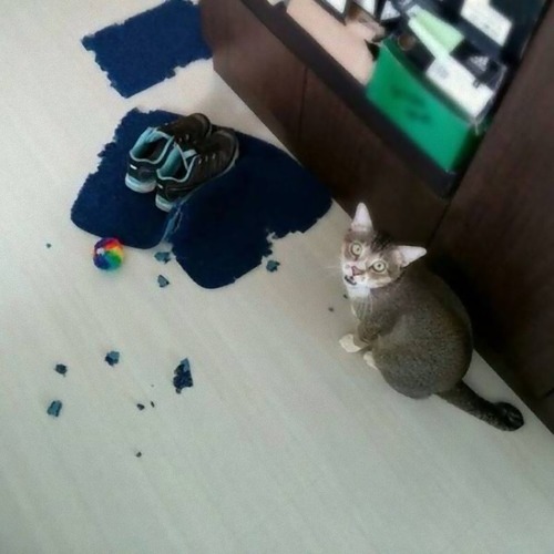 ǭ�����̤����͡�11