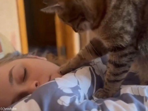 「この世で最高の目覚ましかも!?」優しい猫に起こしてもらう女性