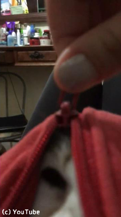 ������ˤ礭�á�ǭ�ο���꤬���襤����02