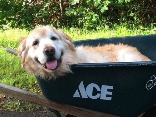 ǯϷ��������겡���֤˾褻��02