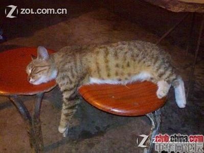 中国のネットカフェでぐっすり眠る人々09