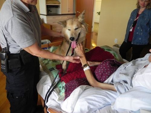 最後は愛犬と18