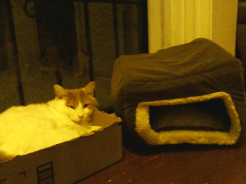 どうやらお金を無駄にした…と実感するとき03