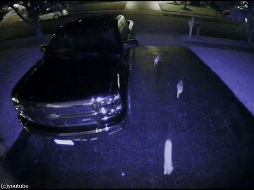 夜中のガレージで猫の集会03