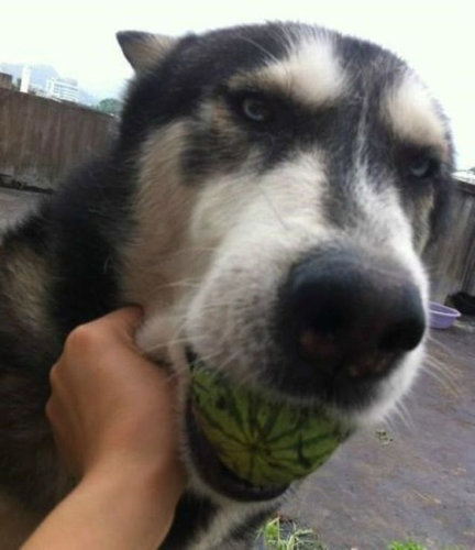 この実、どうなる？06