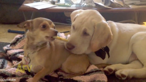 ���餷���θ�02