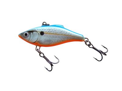 沖合いで釣れてしまった大物TOP