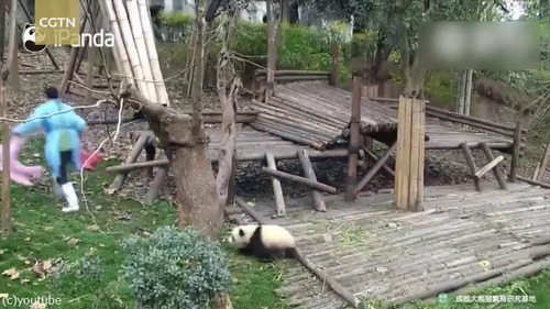 �����������դ���줿�ѥ���Ϥ����ʤ�02