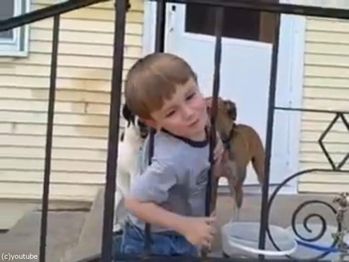 頭が抜けなくなった子供09