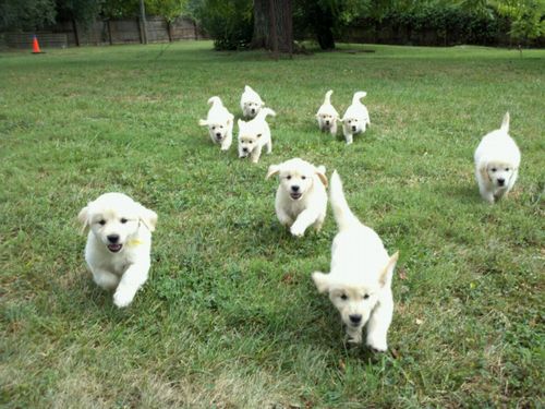 �֥꡼�����λŻ�01