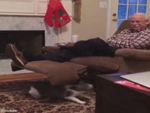 猫の前で死んだふりをしてたら…03