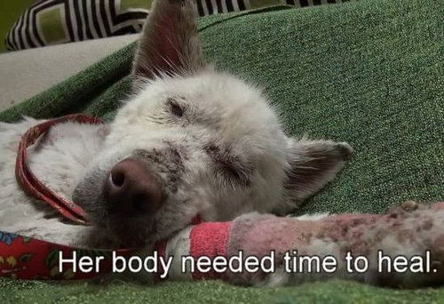 ���ߤλ�����餹�ۡ���쥹����߽�12