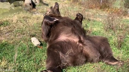 ���������˼��ä�����03