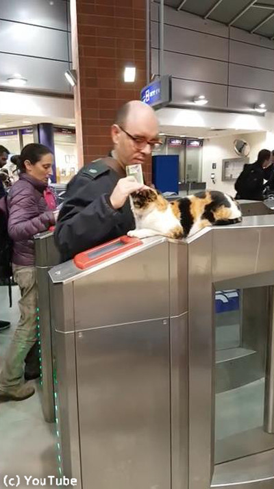 �����饨����ϲ�Ŵ�β����˥˥��02