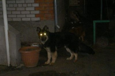 ������Ĺ22