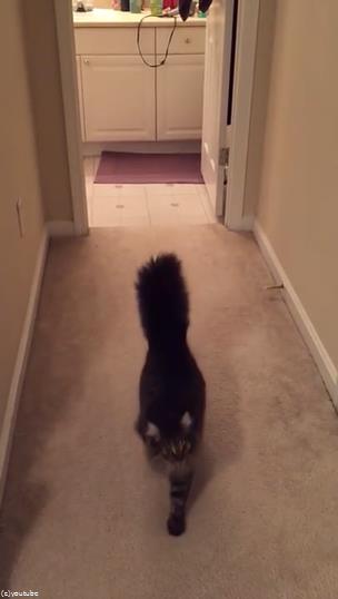 �פȺʤ���ߤ�ǭ��̾����Ƥ֤Ȥ�05