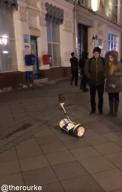 �������������ꤳ�ʤ��ե�����01