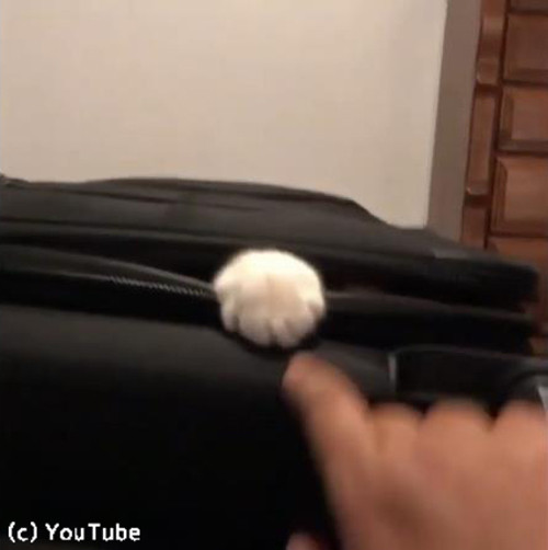 �����ĥ���������򤹤�ǭ02