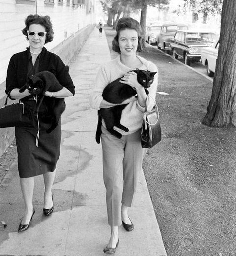 黒猫のオーディション04