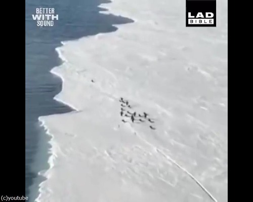 줫Ϥڥ󥮥ĥϥϥ餹ư01