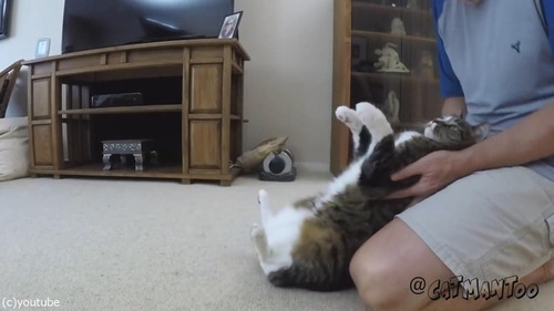 ������ݤ��ǭ07