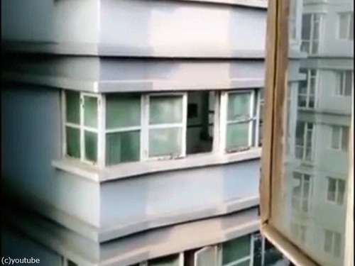 向かいの犬を呼ぶ方法01