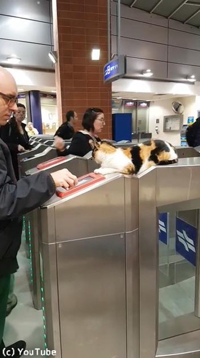 �����饨����ϲ�Ŵ�β����˥˥��01