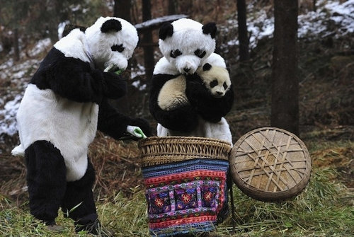 怪しげな隠れ方19