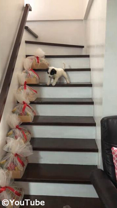 ���ʤ򲼤���ʤ��������뤪�Ф������01