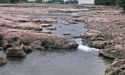 �����ߤ��줿�ʥ����������06